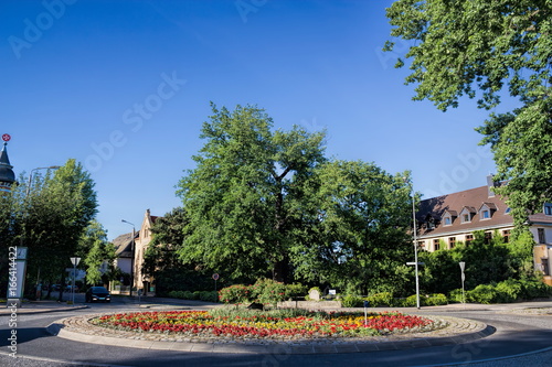 Wittenberg, Luthereiche