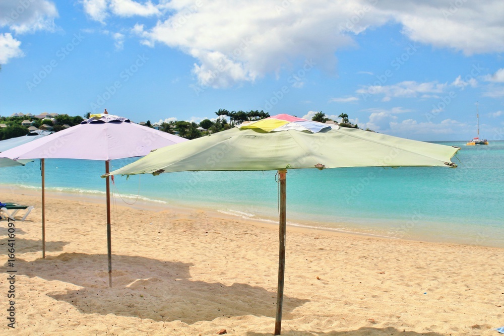 Beach umbrellas set up in the sand, along the shore