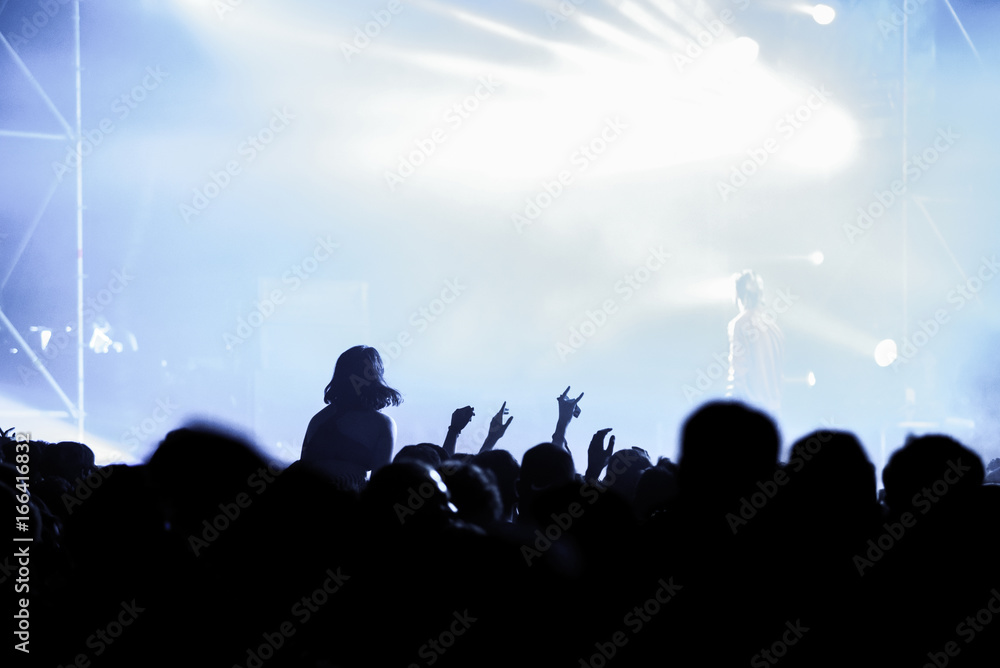 Partying crowd at a concert
