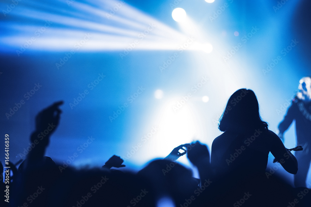 Partying crowd at a concert