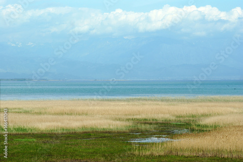 Untouched nature in the national park of Montenegro  Skadar Lake 