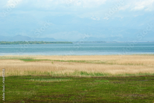 In the Montenegrin National Park Skadar Lake