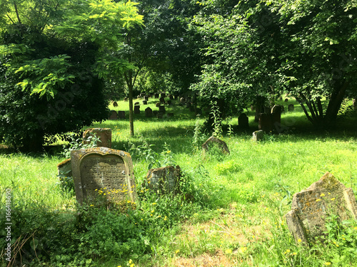 Historical Jewish Cemetery in Worms
