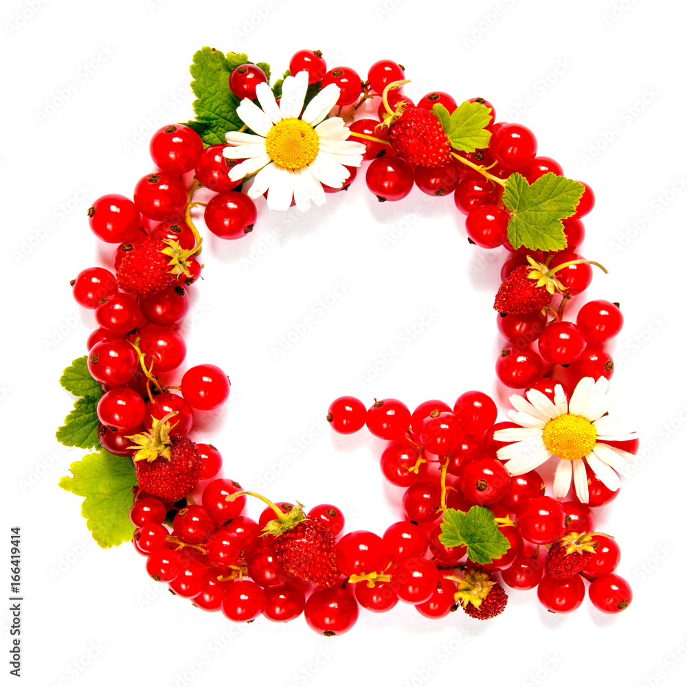 Letter Q English alphabet in the form of a pattern of red currant berries and white flowers and leaves on a white background Letter Q English alphabet in the form of a pattern of red currant berries and white flowers and leaves on a white background