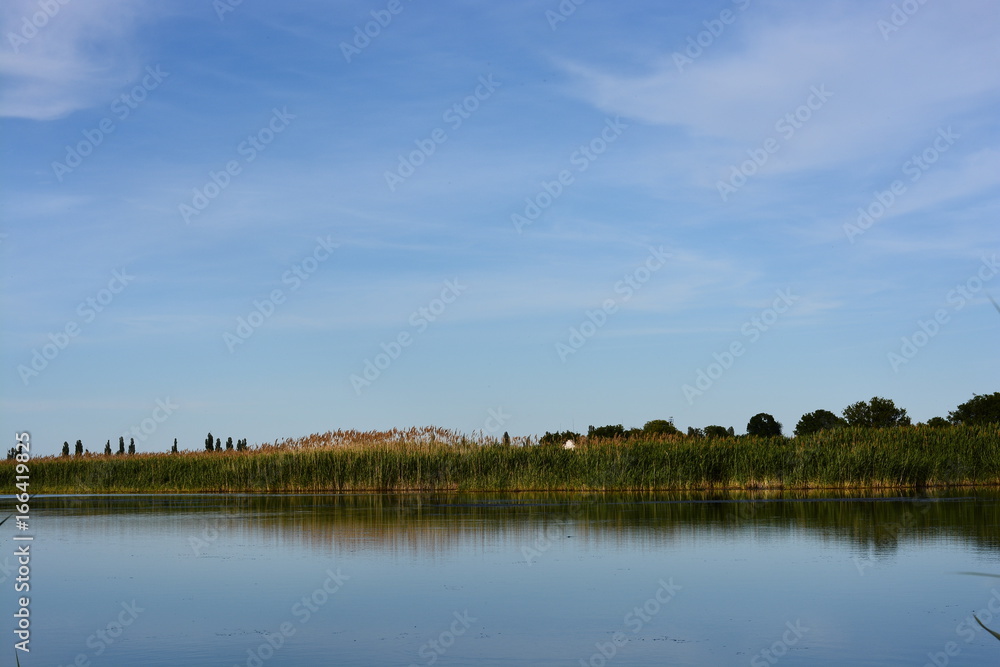 Sky, lake, trees, tree, heat, summer, water, blue, blue, fishing, reeds
