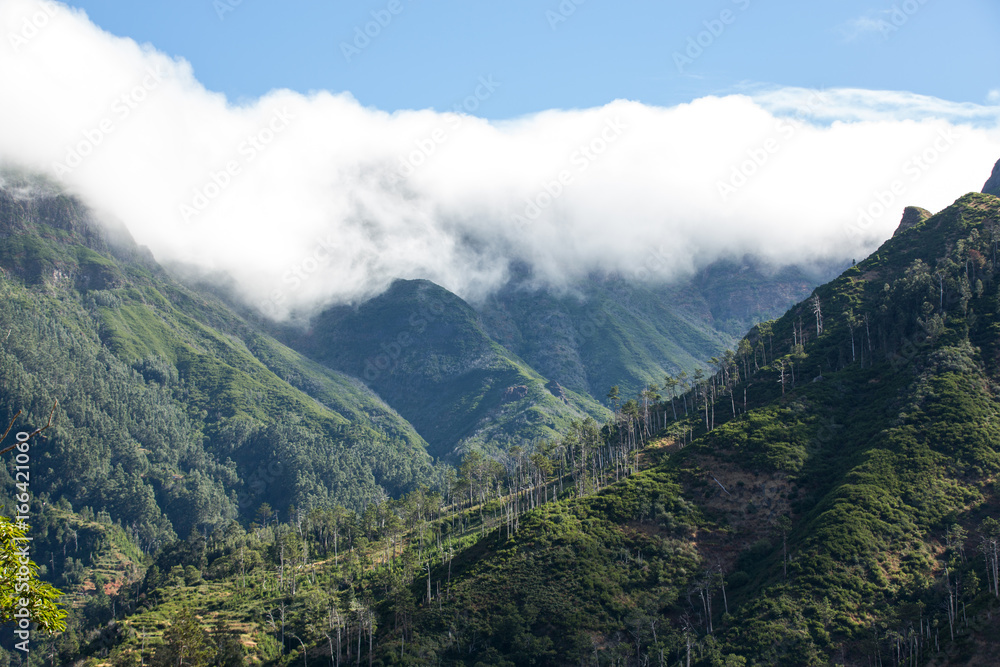 View to the south from the pass Boca da Encumeada in Madeira