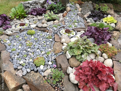 Bild auf Leinwand Rock garden