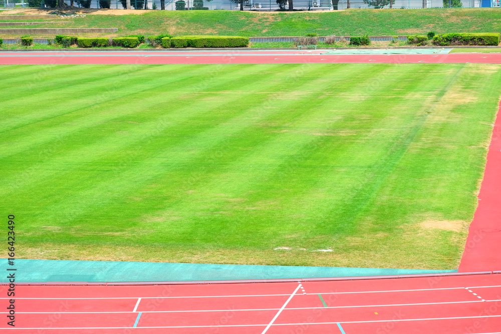 Obraz premium 競技場のグランド