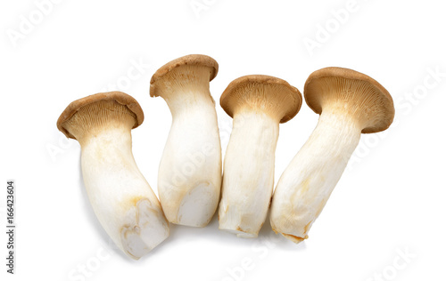 mushroom eryngii on white background