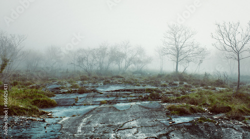 Paesaggio lugubre  nebbioso  nordico con terreno scosceso