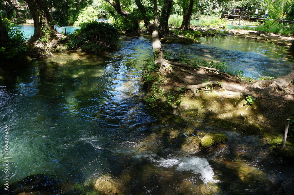 Wasserwelt Nationalpark Krka Kroatien Wasserwelt Nationalpark Krka Kroatien