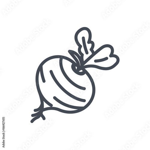 Food vegetables line icon beetroot