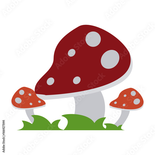 wild mushroom icon image