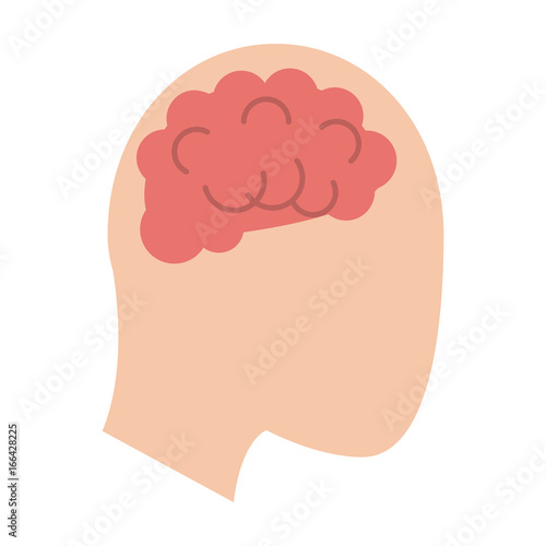 brain inside head icon image