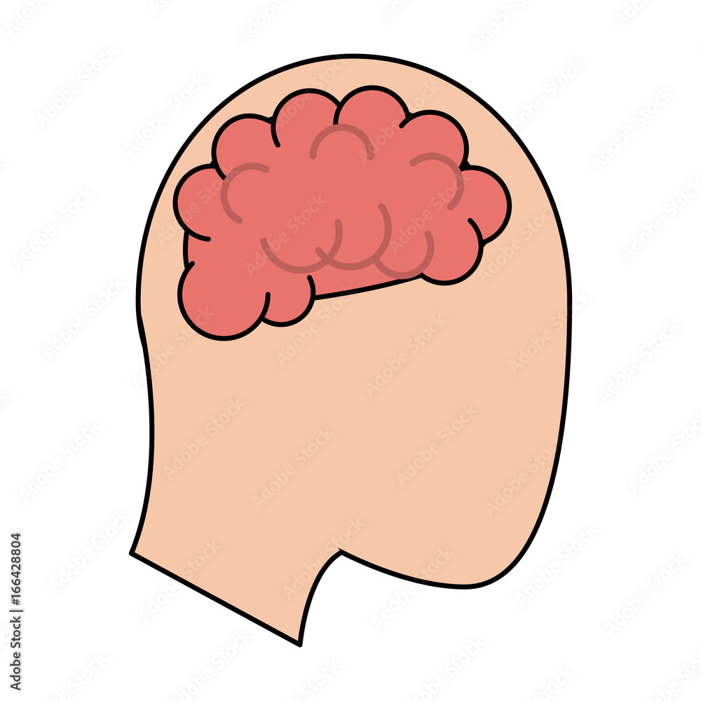 brain inside head icon image