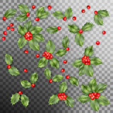 Set of Holly berry leaves Christmas decoration. EPS 10 vector
