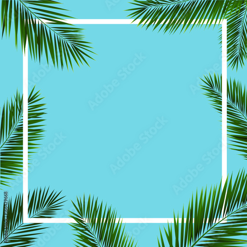Frame With Palm Trees