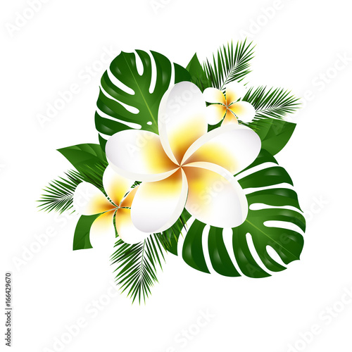 Plumeria