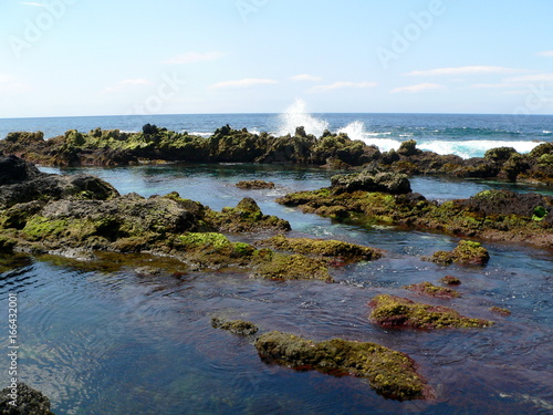 Lavafelsen im Meeresschwimmbad von Biscoitos, Terceira, Azoren, Portugal