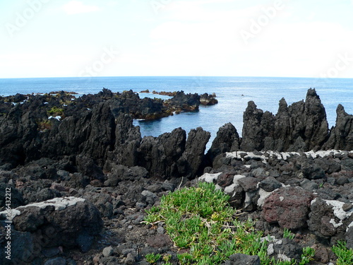 Lavafelsen und Küste bei Biscoitos, Terceira, Azoren, Portugal