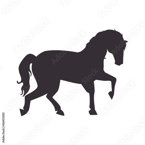 horse icon image