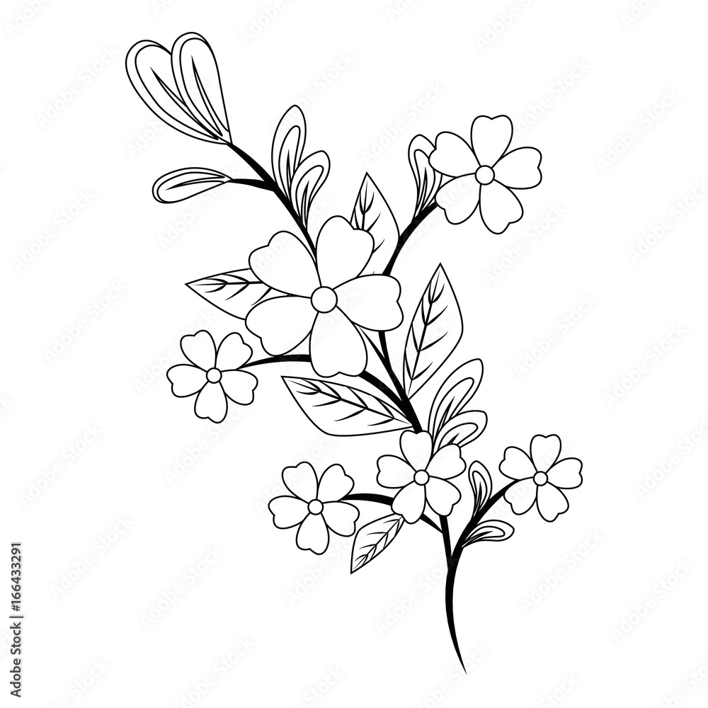 Beautiful flowers gardening Beautiful flowers gardening
