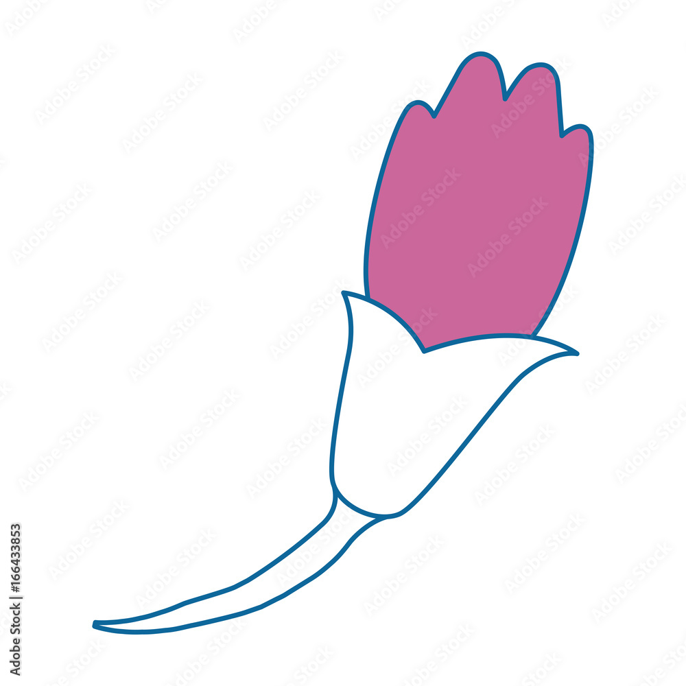 Beautiful flower with petals Beautiful flower with petals