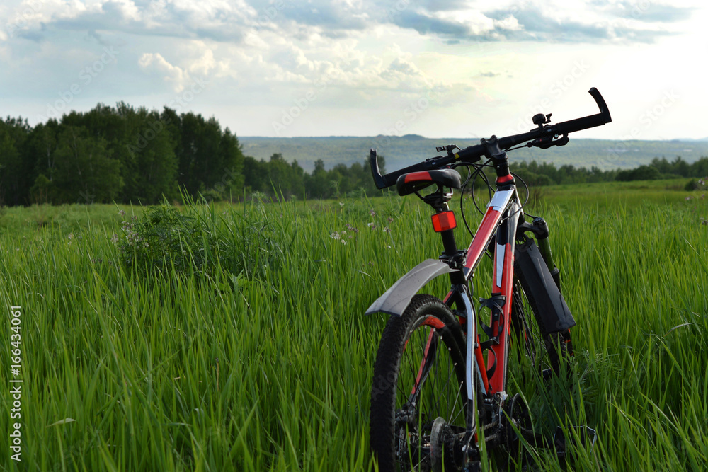 Obraz premium By bicycle in the Russian fields