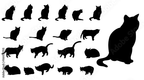 Fototapeta Naklejka Na Ścianę i Meble -  Cat silhouette set