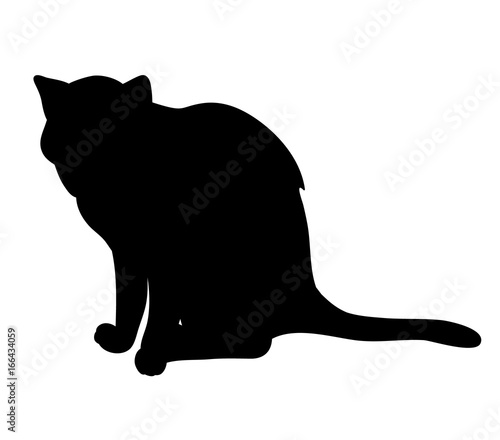 Cat silhouette