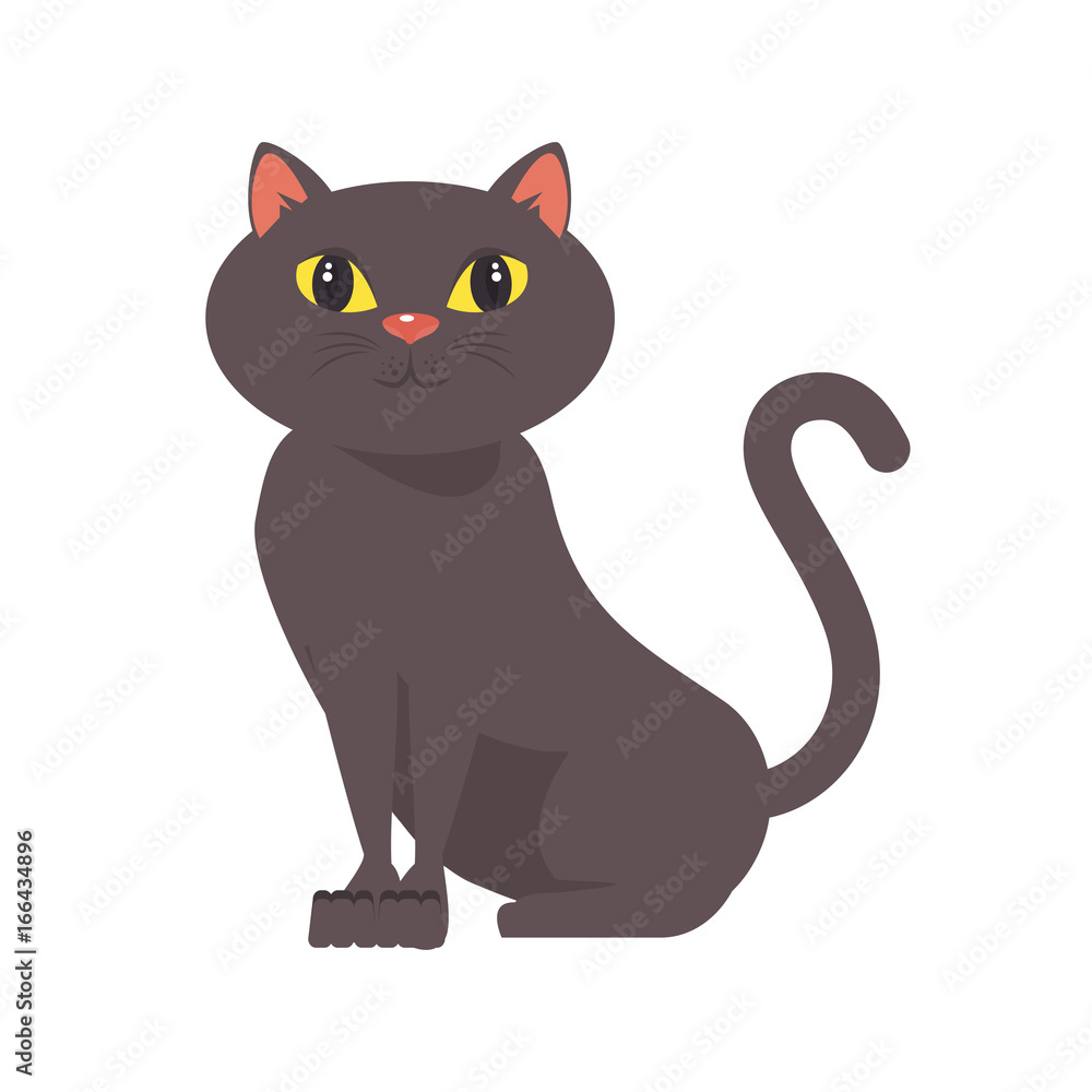cartoon cat icon cartoon cat icon