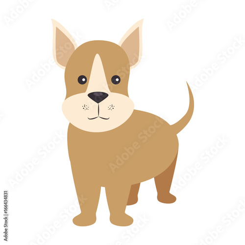 cartoon dog icon © Gstudio