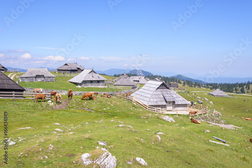 Velika planina plateau, Slovenia, Mountain village in Alps, wooden houses in traditional style, popular hiking destination