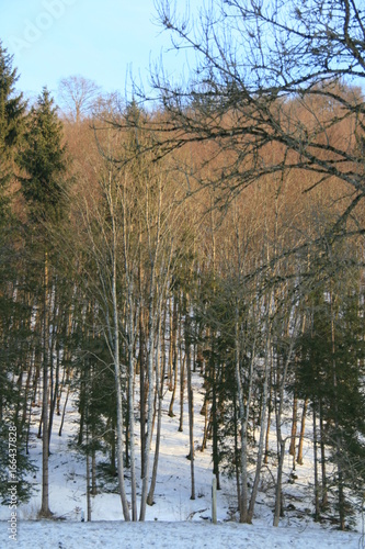 Natur im Winter