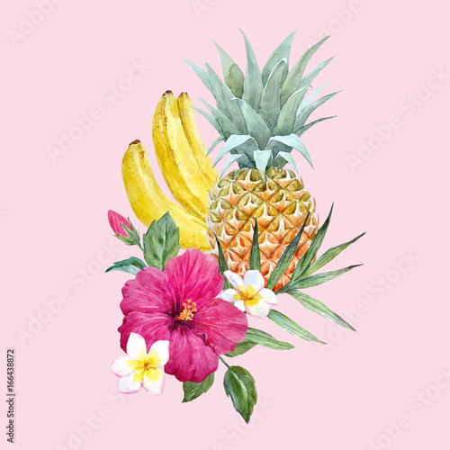 Watercolor vector pineapple fruit