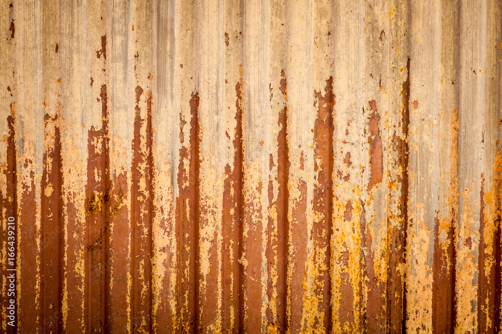 Texture Texture