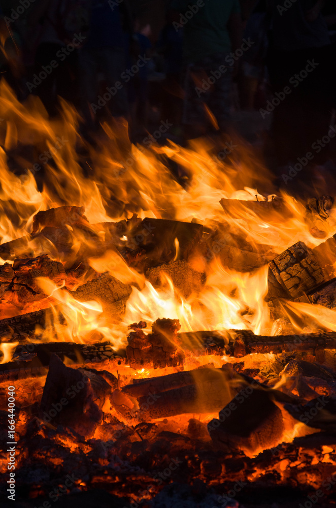 burning wood closeup in real; firereal fire flame render, bonfire campfire\ camp fire hot orange flame. burning wood closeup in real; firereal fire flame render, bonfire campfire\ camp fire hot orange flame.