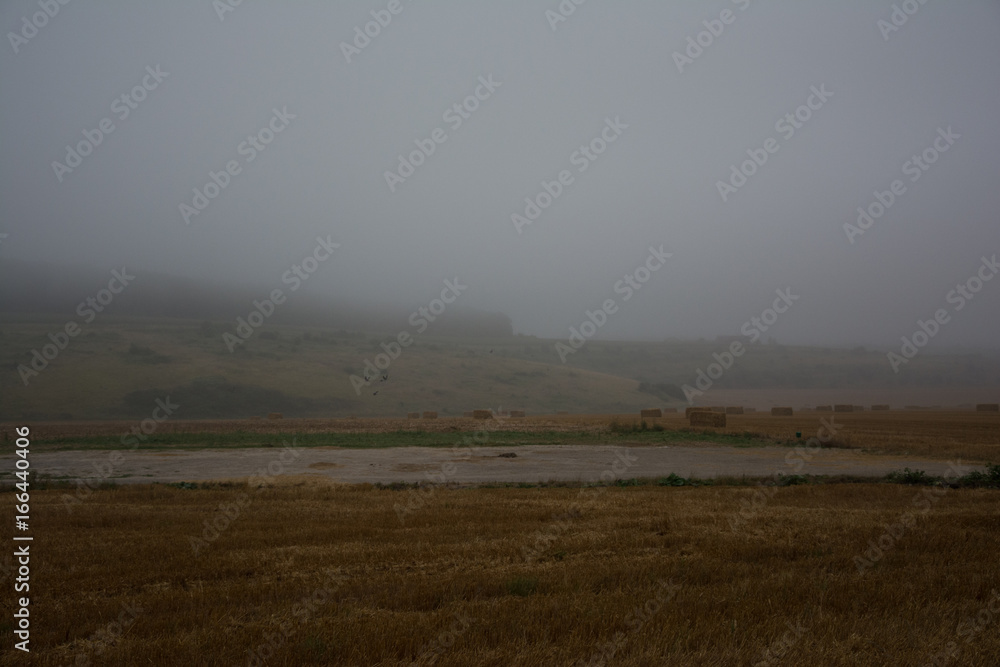 Misty Field in the Somme France