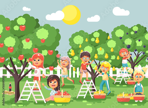 Vector illustration cartoon characters children boys and girls harvest ripe fruits autumn orchard garden from plum, pear, apple trees, put crop in full basket landscape scene outdoor flat style