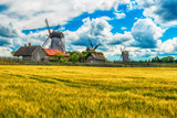 Saarema Island, Estonia: summer fields and Angla windmills in Leisi Parish
