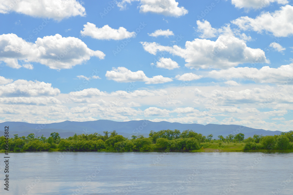 Trees on the riverside