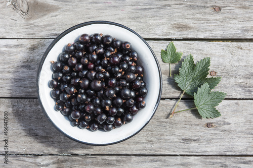 Black currant in a white bowl on a wooden texture with rusty nails. Top view. Copyspace.