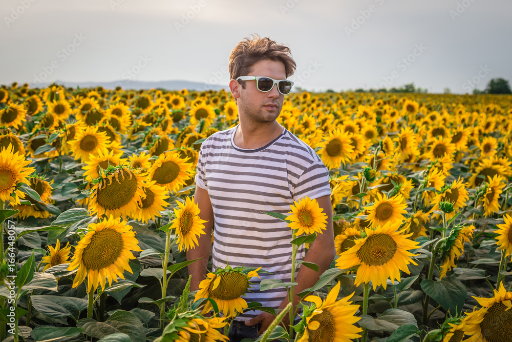 Young man in sunflower field Young man in sunflower field