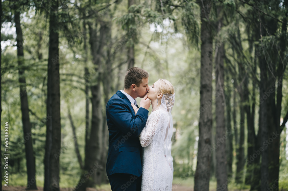 Happy groom kisses the bride in the sunny green park, wedding day Happy groom kisses the bride in the sunny green park, wedding day