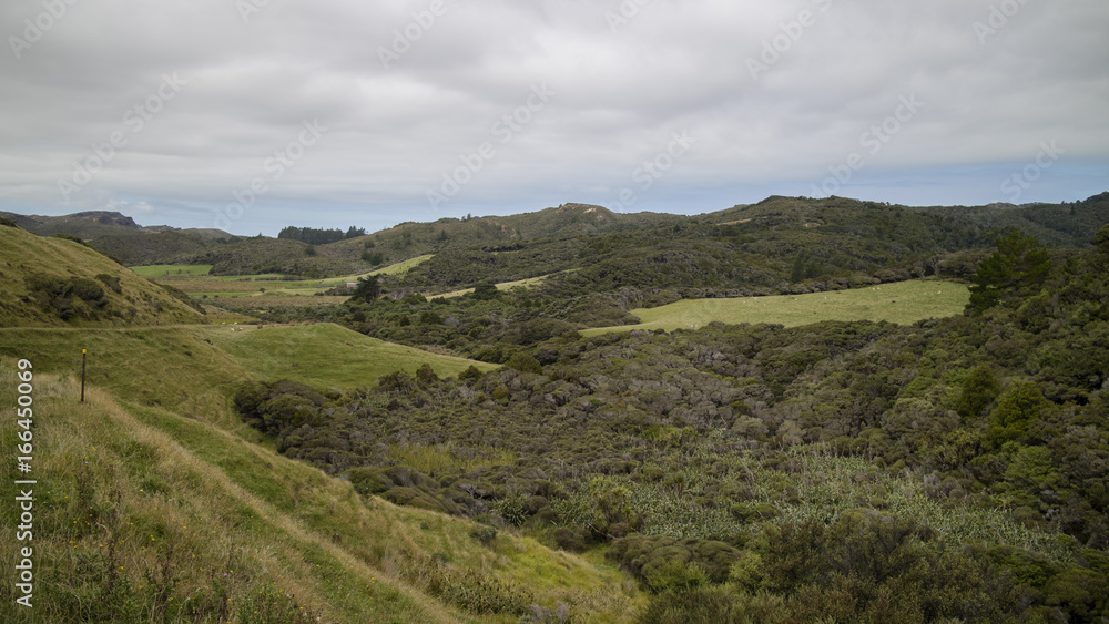 Naklejka premium landscape