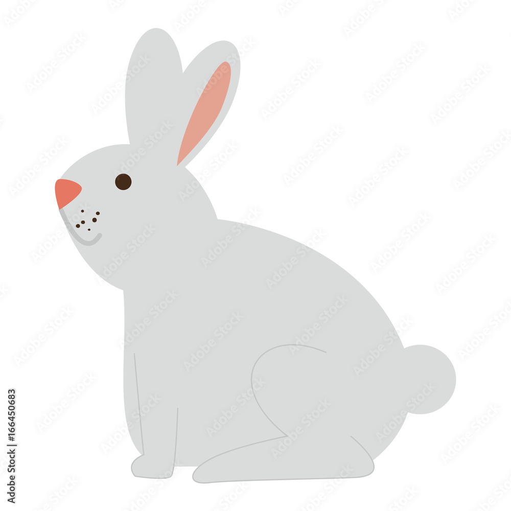 cute rabbit pet icon cute rabbit pet icon