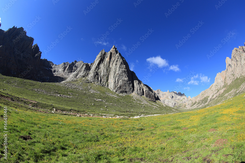 rocky mountains with green grass landscape