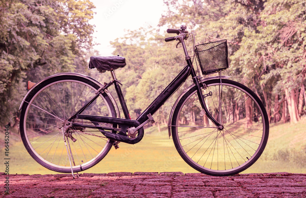 Fototapeta premium Vintage bicycle parked on the road. Warm tone.