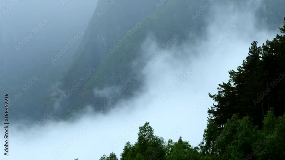 Misty forest on the mountain slope in a nature reserve. Woods in heavy rain. Misty forest on the mountain slope in a nature reserve. Woods in heavy rain.