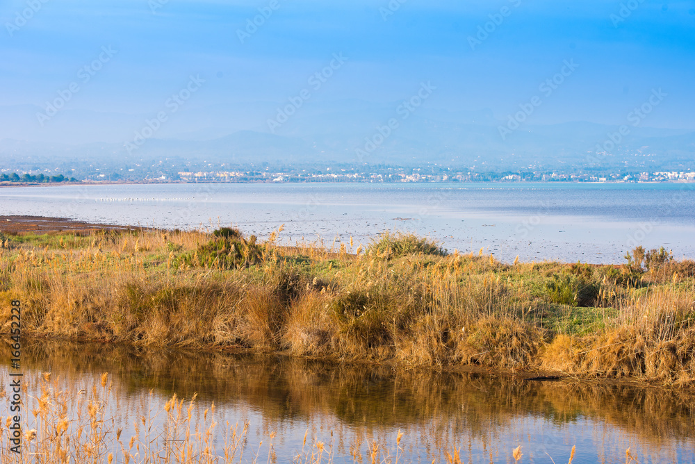 landscape river Ebro Delta in Spain, Tarragona, Catalunya. Copy space for text.